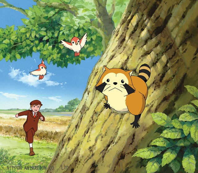 「あらいぐまラスカル」