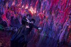 映画「xxxHOLiC」四月一日と百目鬼が共闘する“異空間バトルシーン”映像公開