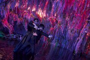 映画「xxxHOLiC」四月一日と百目鬼が共闘する“異空間バトルシーン”映像公開