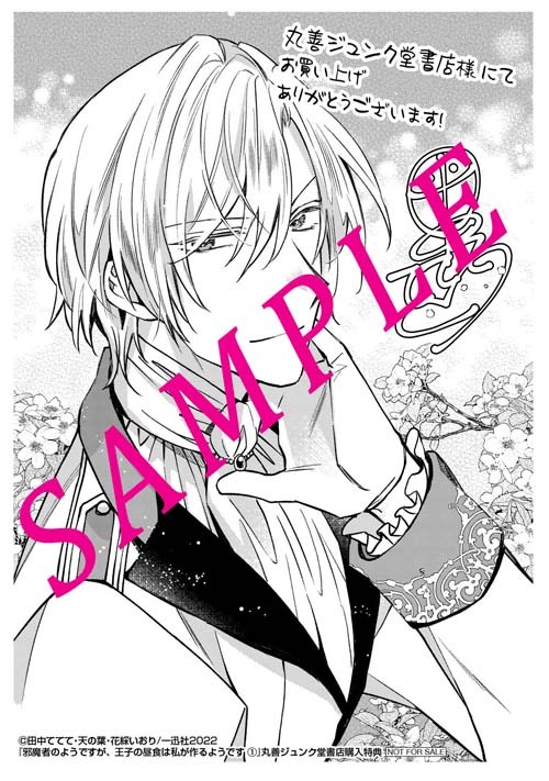 「邪魔者のようですが、王子の昼食は私が作るようです」1巻丸善ジュンク堂書店購入特典