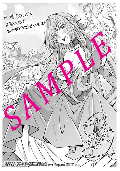 「邪魔者のようですが、王子の昼食は私が作るようです」1巻応援店購入特典