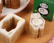 「パンダコパンダ ぽこっとパンダコバウム パパンダといっしょ（プレーン味）」