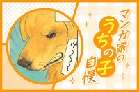 マンガ家“うちの子”自慢 第3回｜松虫あられ