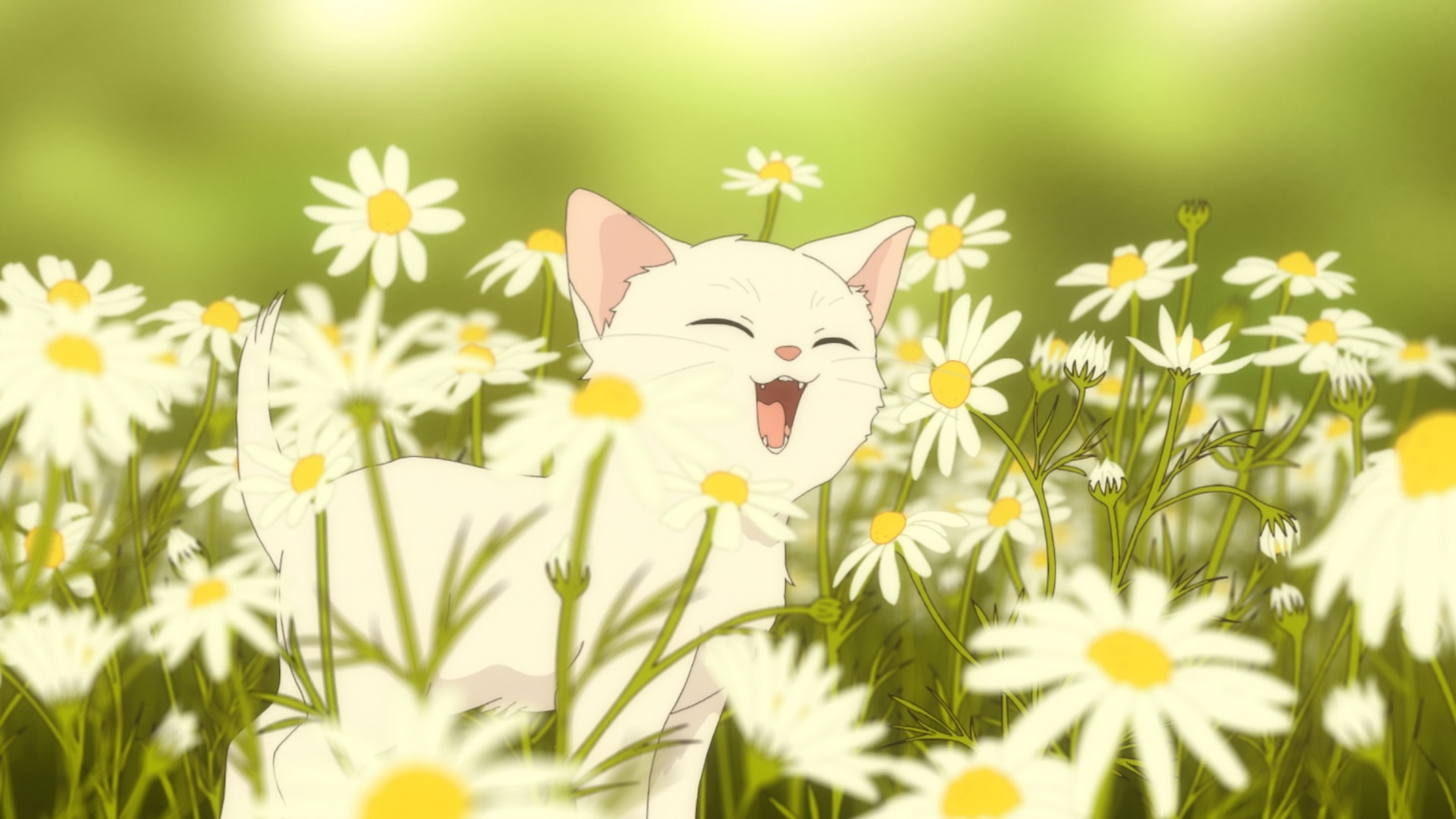劇場版「からかい上手の高木さん」予告編より。
