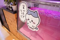 「ちいかわ飯店」のショーケースに貼られたハチワレ。