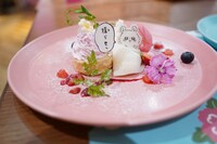 「モモンガの包んでみろプレート」