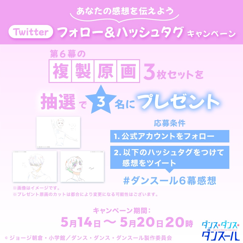Twitterキャンペーンの詳細。
