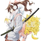 「真・一騎当千」南陽学院の危機にヘタレな孫権が立ち向かう、特典イラストも公開