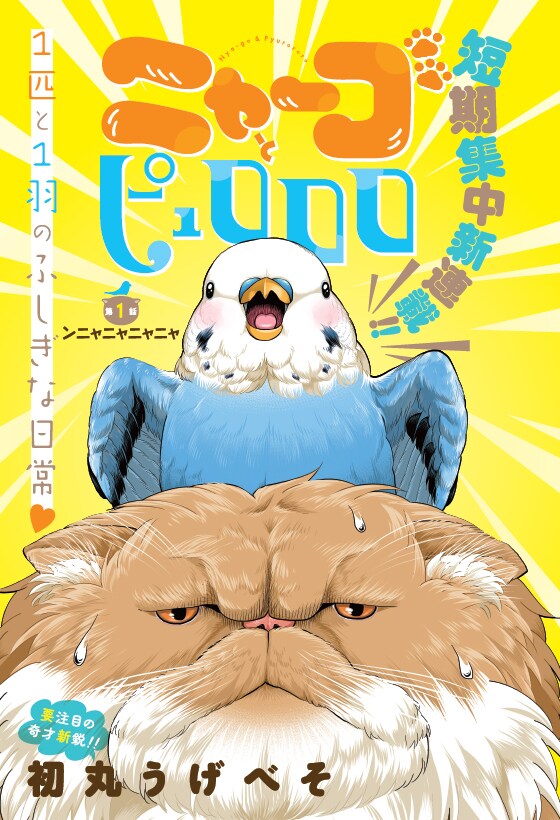 「ニャーゴとピュロロロ」扉ページ