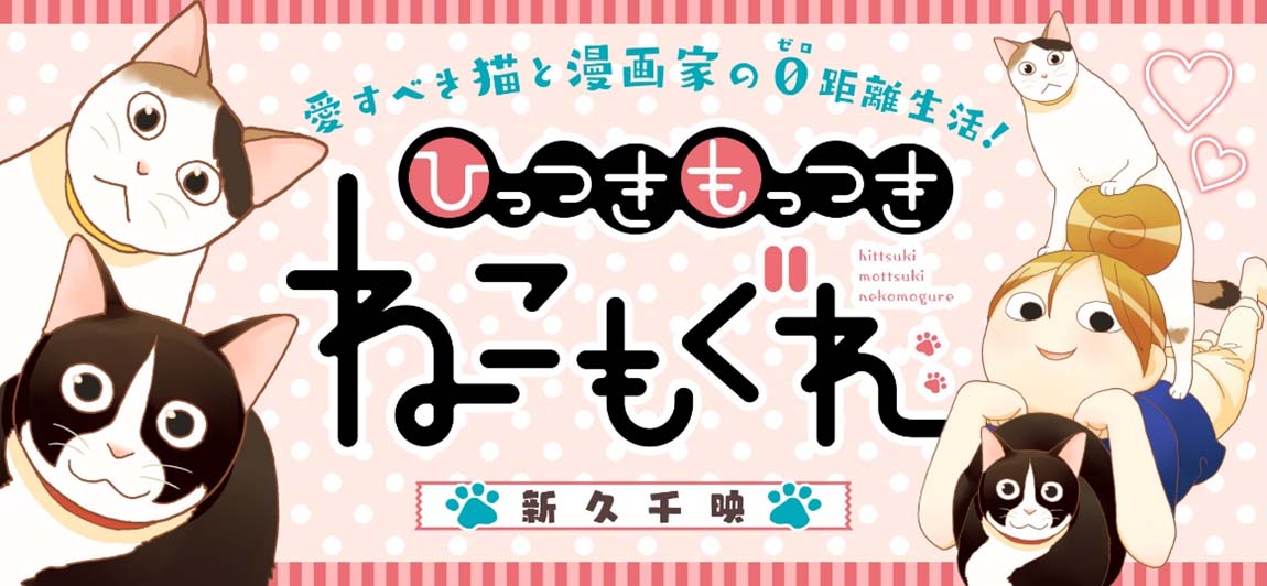「ひっつきもっつき ねこもぐれ」バナー