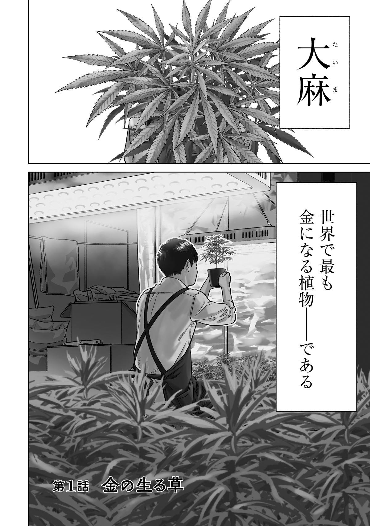 「東京カンナビス特区 大麻王と呼ばれた男」より。