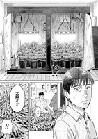 「東京カンナビス特区 大麻王と呼ばれた男」より。