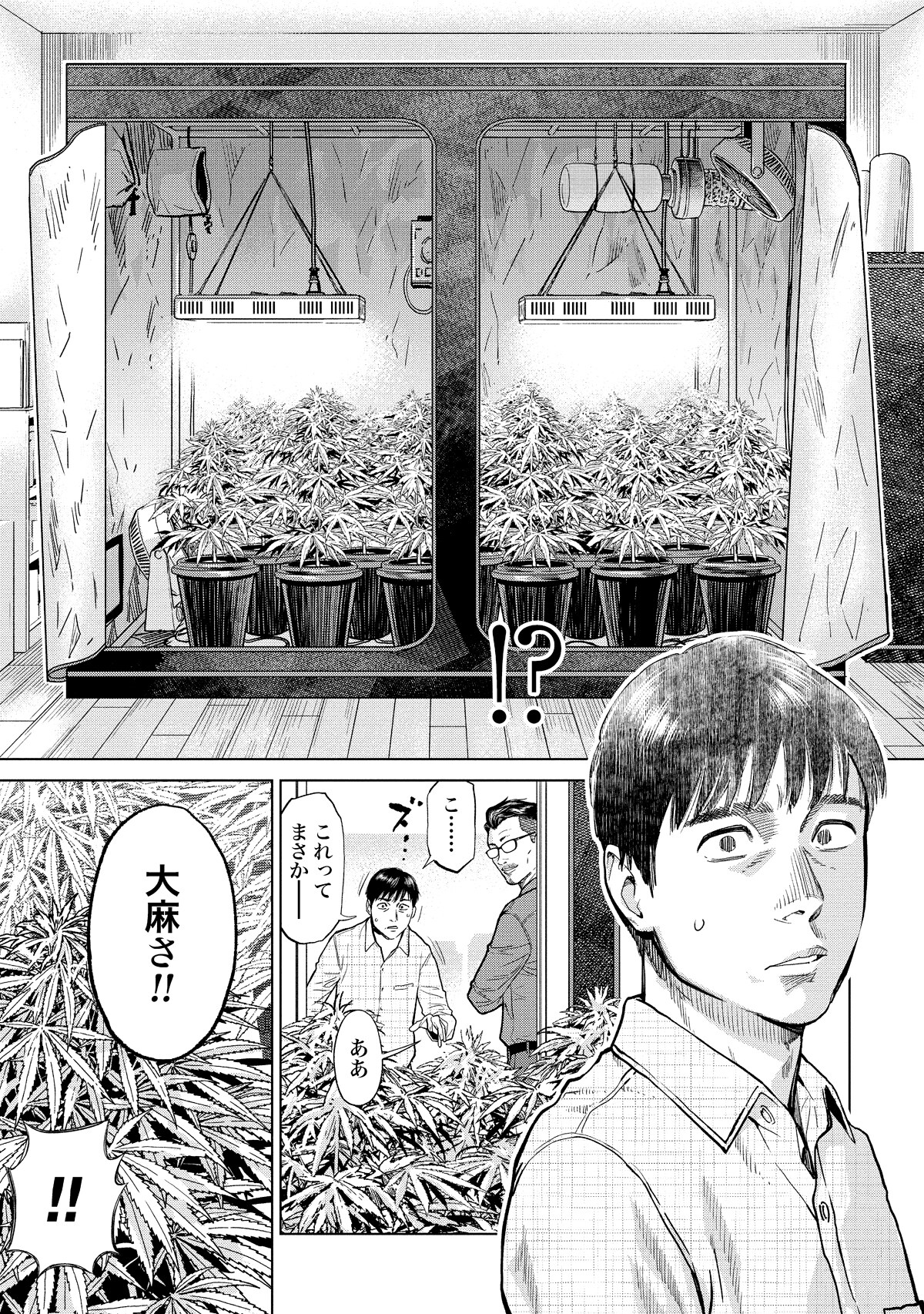 東京カンナビス特区 大麻王と呼ばれた男 超特価sale開催