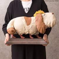 「ハウルの動く城 ヒン み～つけた！」