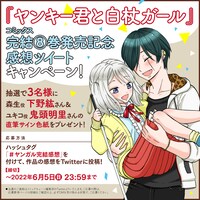 Twitterキャンペーンの案内。