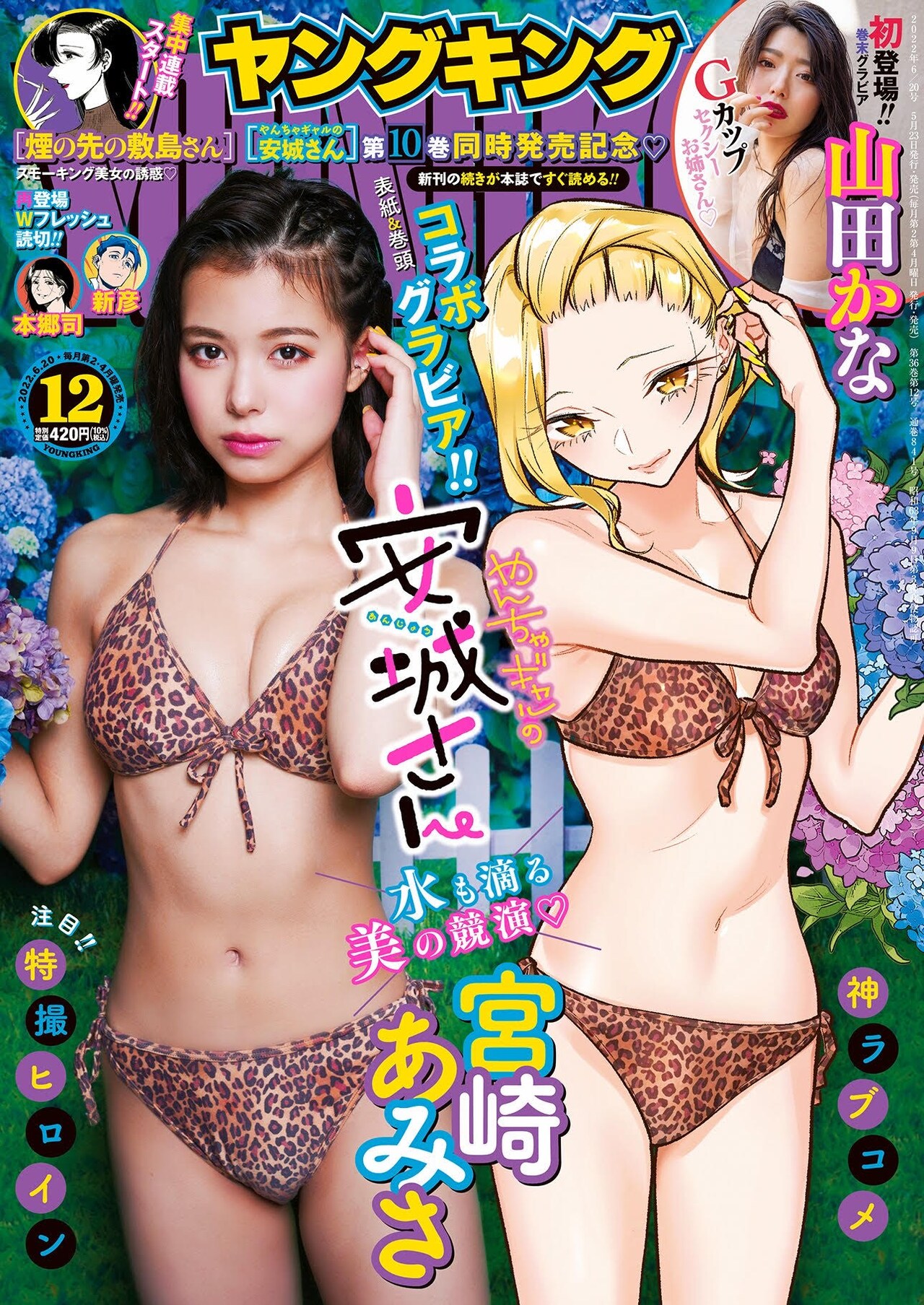 ヤングキング12号