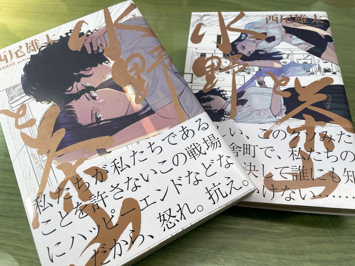 森氏が装丁を手がけた西尾雄太「水野と茶山」の単行本。ブロンズ色があえて沈む用紙をカバーに使用することで独特の色味を出している。