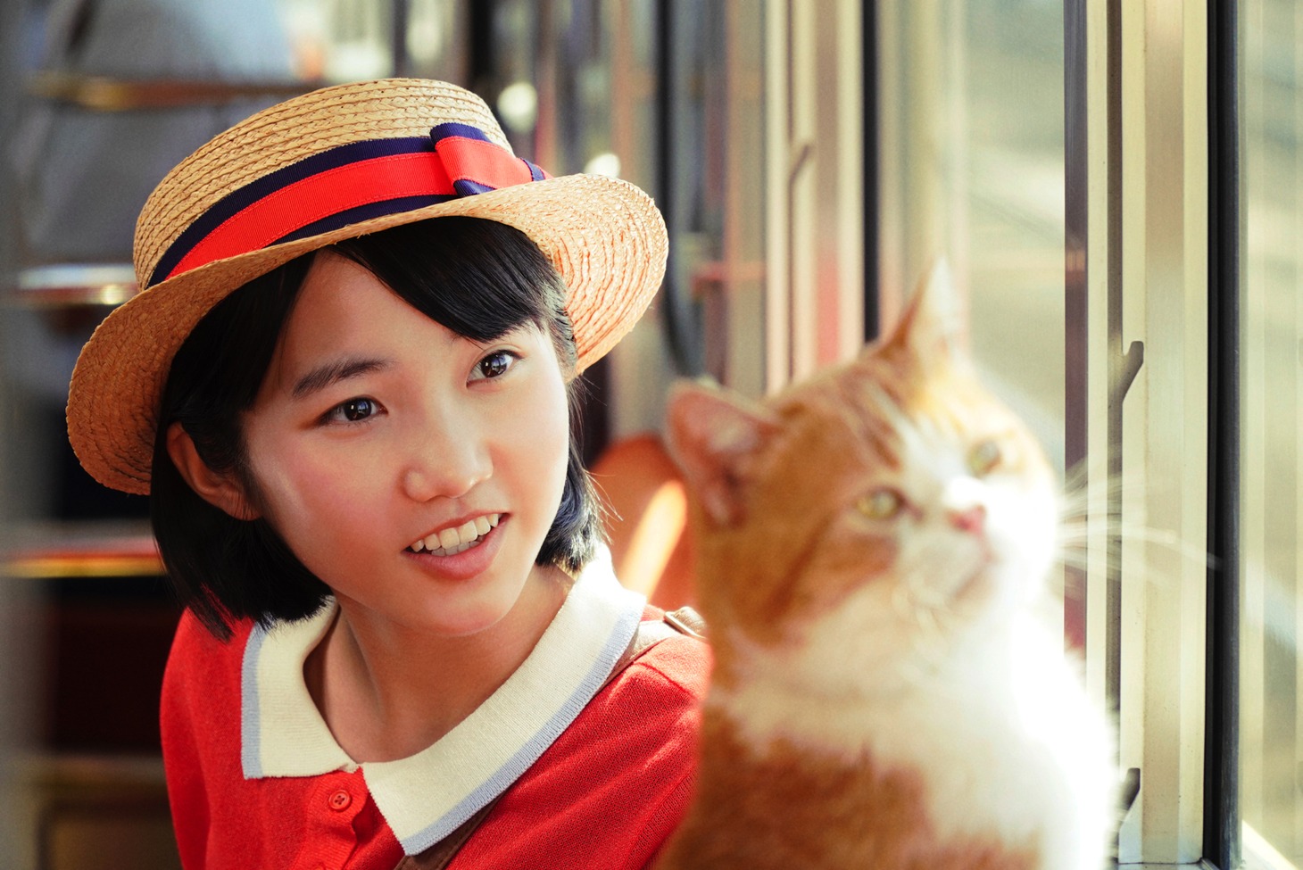 映画「耳をすませば」場面写真