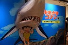 宮崎駿の“漫画映画”の魅力に迫る「未来少年コナン」展明日から、当時を振り返る座談会も