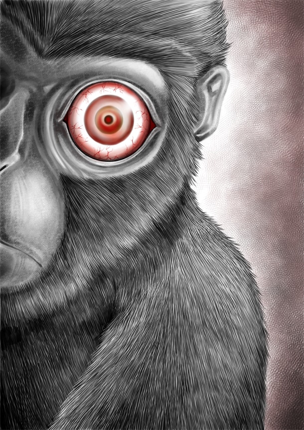 「さるまね」カラーカット