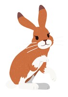 ウサオのかあちゃん（CV：釘宮理恵）