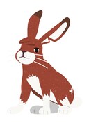 ウサギ崎先輩（CV：下野紘）