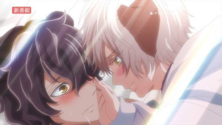 アニメ「森のくまさん、冬眠中。」PVより。