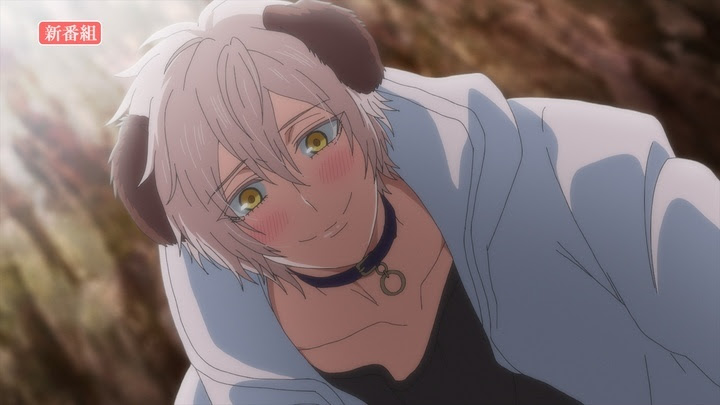 アニメ「森のくまさん、冬眠中。」PVより。