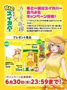 「幸と一緒にスイカバー食べよう」キャンペーン告知ビジュアル