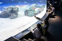 「東京アニメアワードフェスティバル2022」のこどもワークショップ・アニメ水族館の様子。