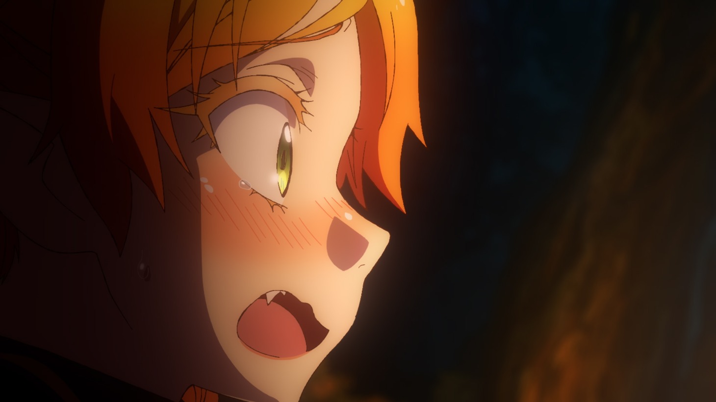 アニメ「異世界おじさん」場面カット。