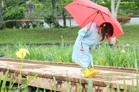 「となりのトトロ 雨の日メイちゃんシリーズ」着用イメージ