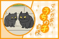 マンガ家“うちの子”自慢 第7回｜大童澄瞳
