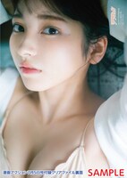 漫画アクション13号付録となるクリアファイル（裏）。