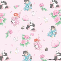 「らんま1/2」とITS' DEMOのコラボアイテムの絵柄。