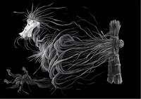 「藁人形」ビジュアル