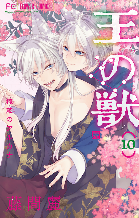 「王の獣」10巻