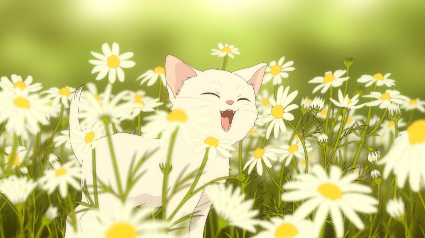 「劇場版『からかい上手の高木さん』」場面カット