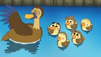 「カルガモのお引越しだゾ」より。 (c)臼井儀人／双葉社・シンエイ・テレビ朝日・ADK