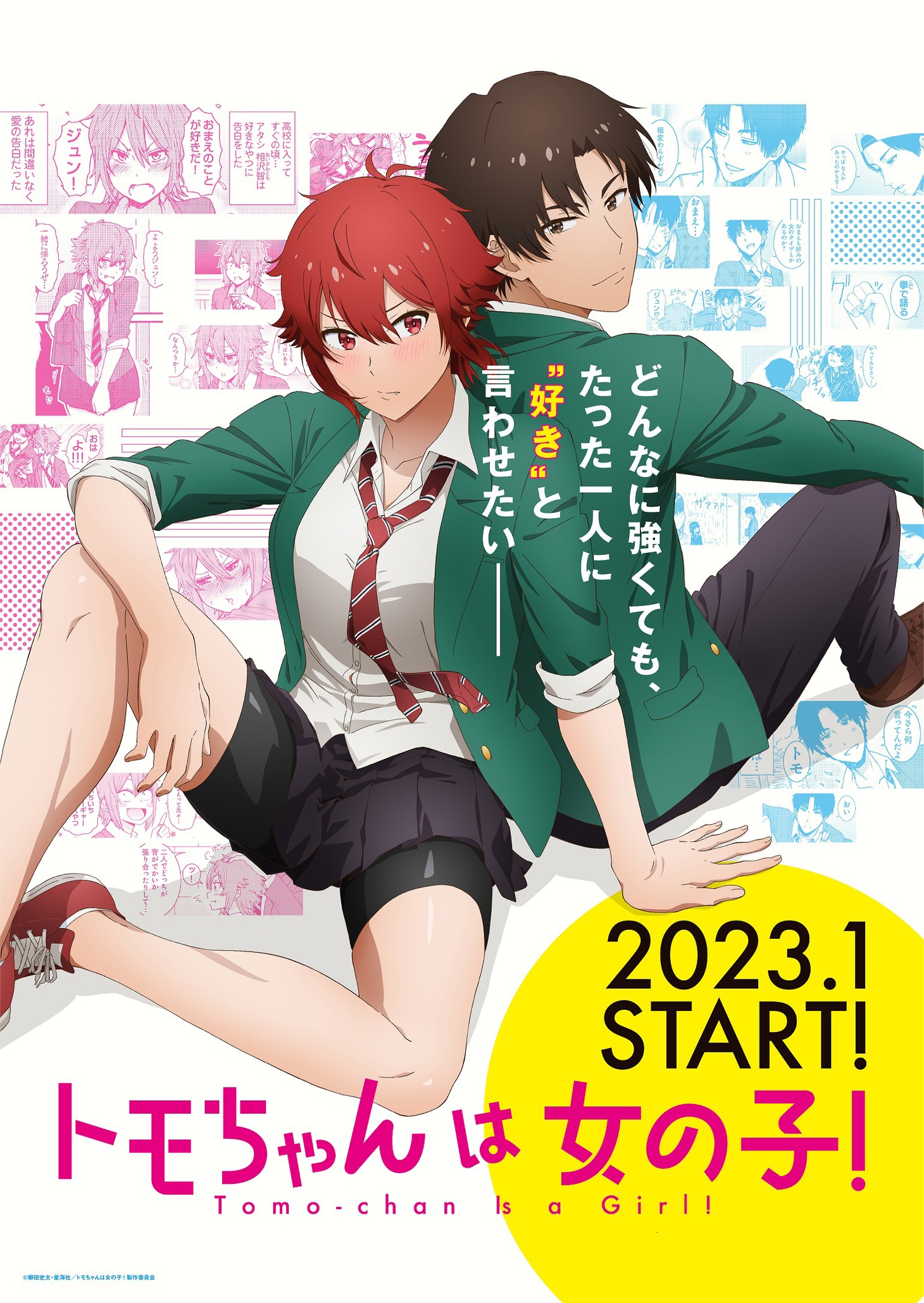 TVアニメ「トモちゃんは女の子！」ティザービジュアル (c)柳田史太・星海社/トモちゃんは女の子！製作委員会