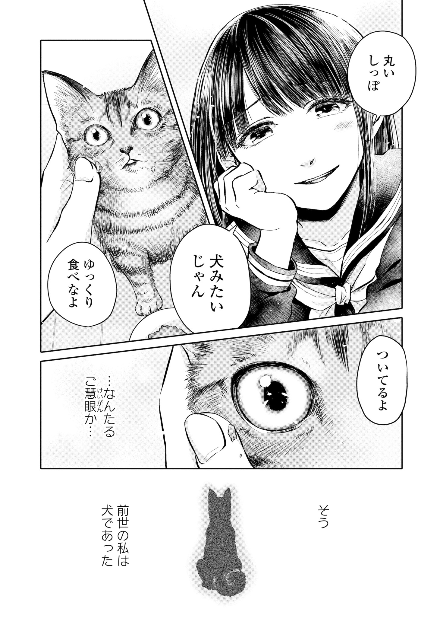 「吾輩は猫であるが犬」より。