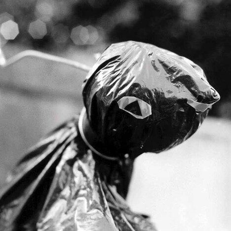 アルバム「The ピーズ」ジャケット