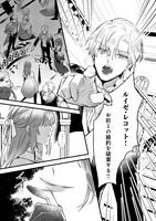 「婚約破棄された替え玉令嬢、初恋の年上王子に溺愛される@COMIC」より。