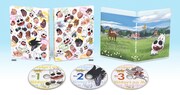 TVアニメ「みどりのマキバオー」Blu-ray BOXの展開図。