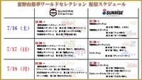 「富野由悠季ワールドセレクション」の詳細。