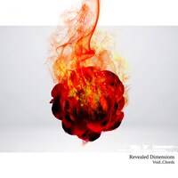 「Revealed Dimensions」ジャケット