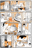 谷口菜津子の描き下ろしマンガ。
