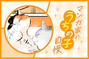 マンガ家“うちの子”自慢 第10回|谷口菜津子