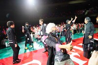 カーペットを進む麦わらの一味キャスト。