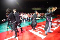 カーペットを進む麦わらの一味キャスト。